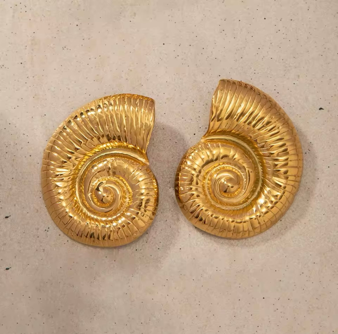 Seashell Earrings